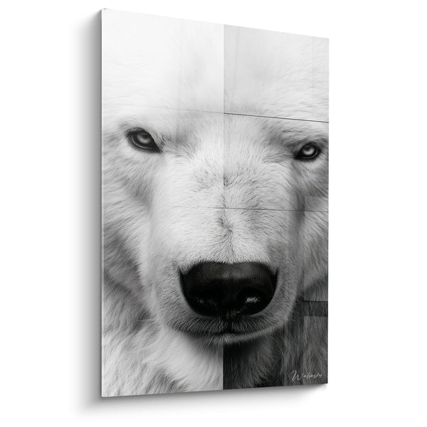 Tableau Ours polaire blanc et noir truffe humide - Regard perçant frontal - Edition Ours polaire