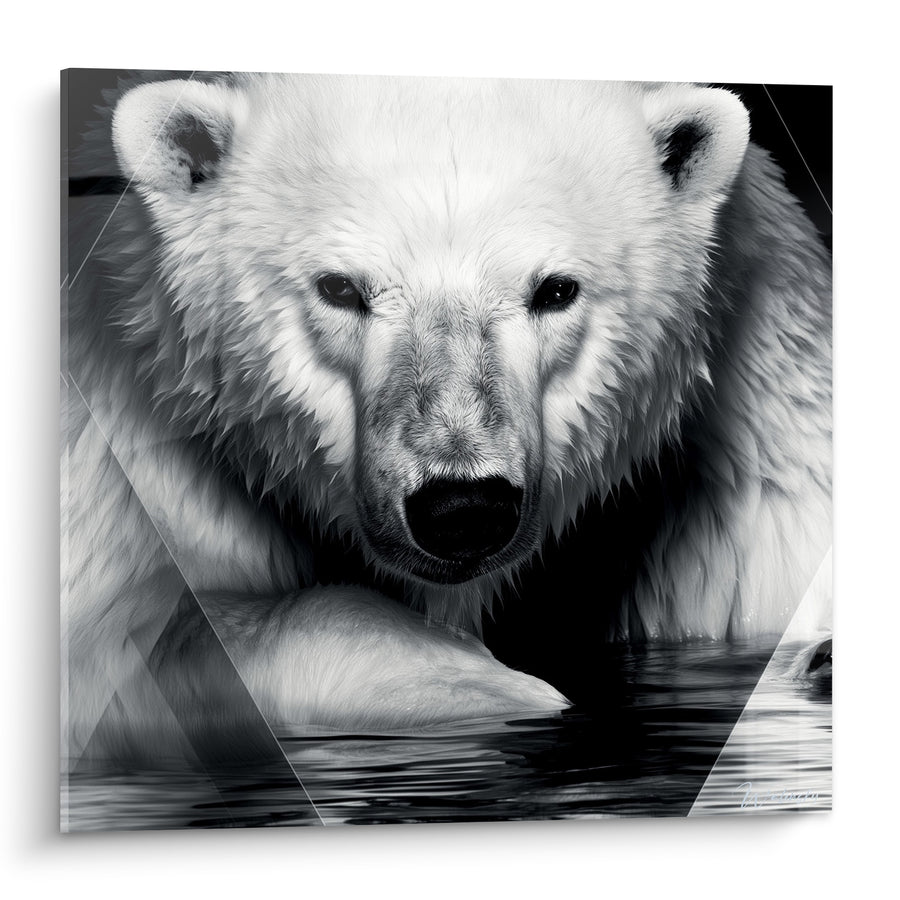 Tableau Ours polaire blanc et noir immergé dans l'eau sombre - Pattes croisées à la surface - Edition Ours polaire