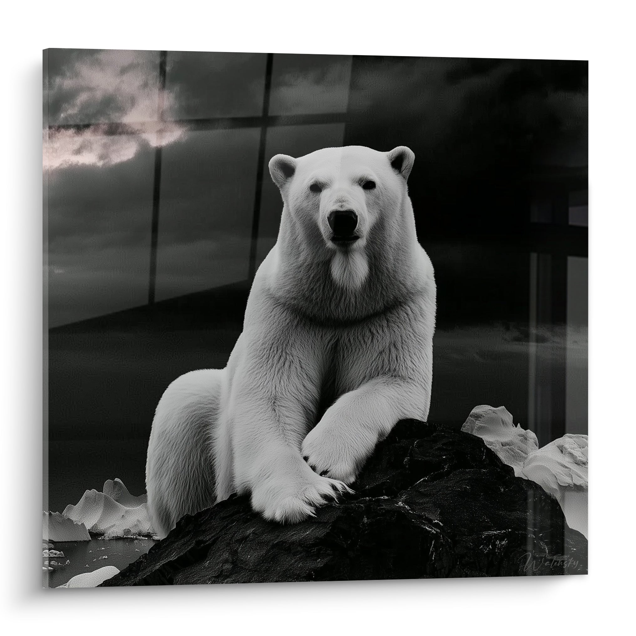 Ours polaire assis sur un rocher anthracite, fourrure blanche et regard perçant vers l'objectif