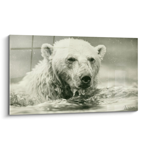 Tableau Ours polaire blanc et gris émergeant de l'eau - Surgissement silencieux - Edition Ours polaire