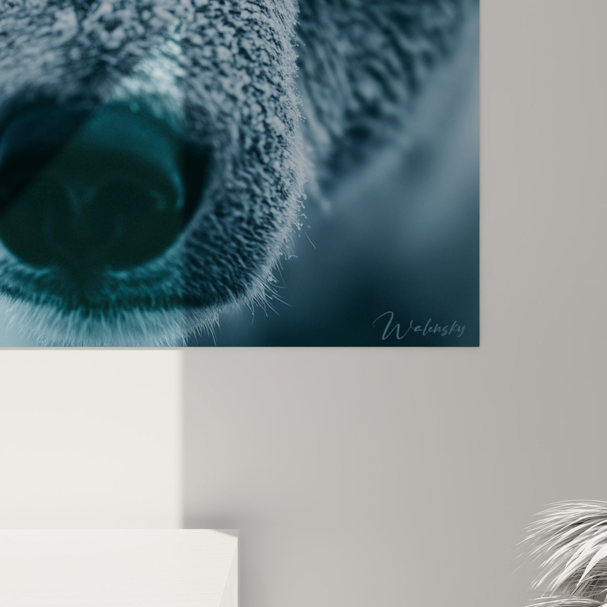 Fourrure givrée d'ours polaire en gros plan, grain texturé bleu glacé et flocons blancs sur pelage sombre