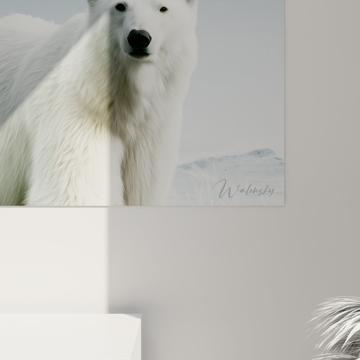 Détail de la fourrure blanche texturée des ours polaires avec nuances grises et reflets bleutés