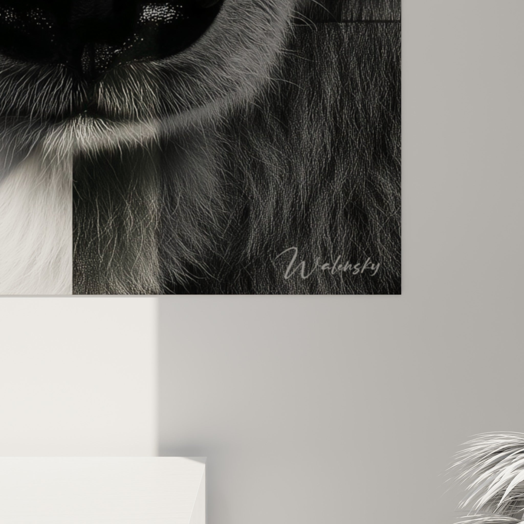 Détail de la fourrure blanche et grise de l'ours polaire, grain photographique visible autour de la truffe noire luisante.