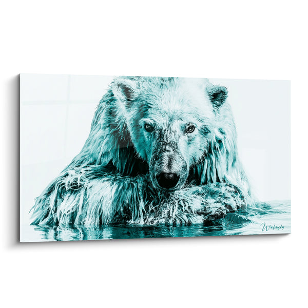 Leinwand Eisbär mit weißem und cyanfarbenem Fell, durchnässt im Wasser - Tropfendes Fell und in Wasser getauchte Ellbogen - Eisbär Edition