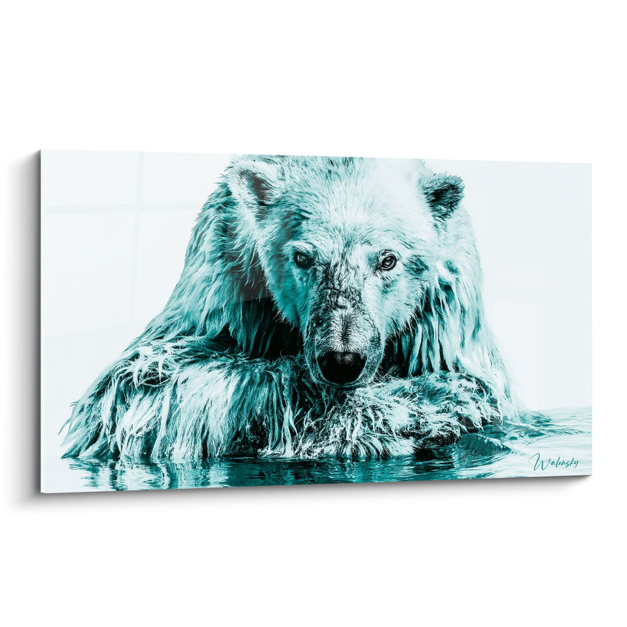 Tableau Ours polaire au pelage blanc et cyan trempé dans l'eau - Fourrure ruisselante et coudes immergés - Edition Ours polaire