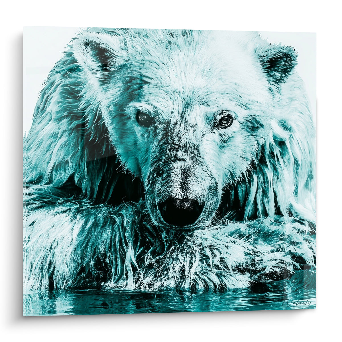 Ours polaire au pelage turquoise et noir, regard intense, tête émergeant de l'eau sombre