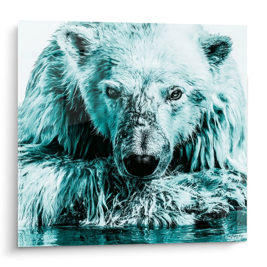 Ours polaire au pelage turquoise et noir, regard intense, tête émergeant de l'eau sombre