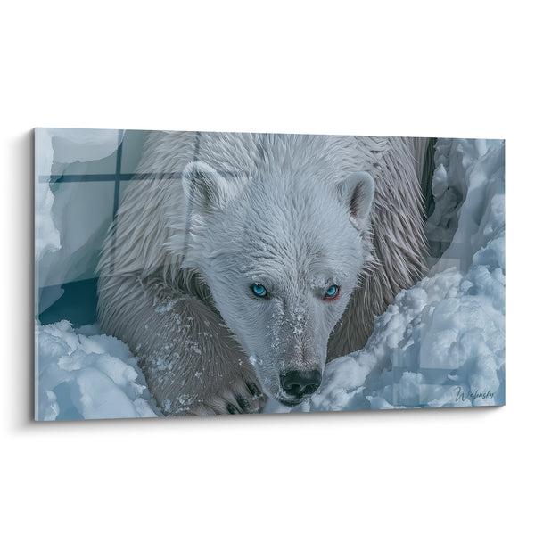 Tableau Ours polaire blanc et bleu aux yeux perçants tapissé de neige - Regard glacé rampant - Edition Ours polaire
