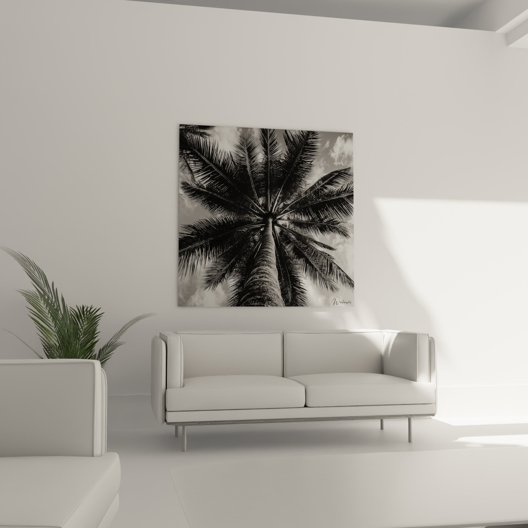 Tronc et palmes du palmier en tons gris contrastés au-dessus d'un canapé dans un salon lumineux