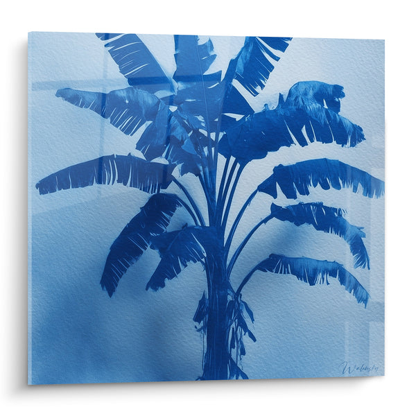 Tableau Bananier bleu indigo et blanc effet cyanotype - Grille vitrée superposée - Edition Palmier