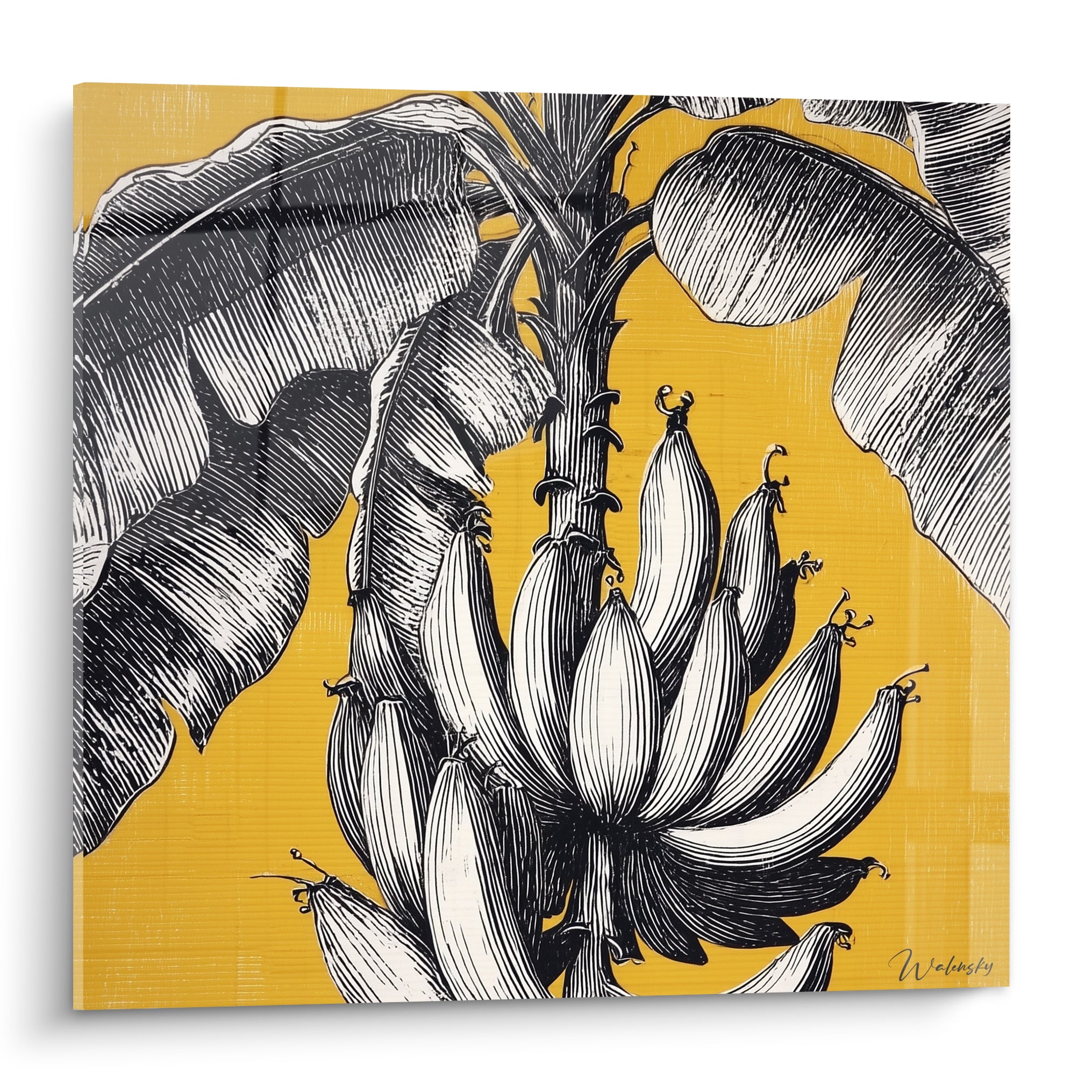 Bananier au régime noir et blanc, feuilles graphiques sur fond ocre intense et lumineux