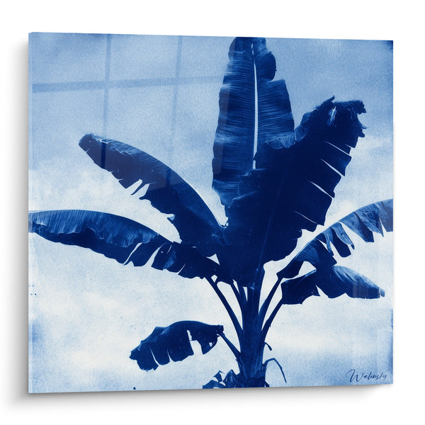Tableau Bananier bleu indigo et blanc silhouette texturée - Effet cyanotype ancien - Edition Palmier