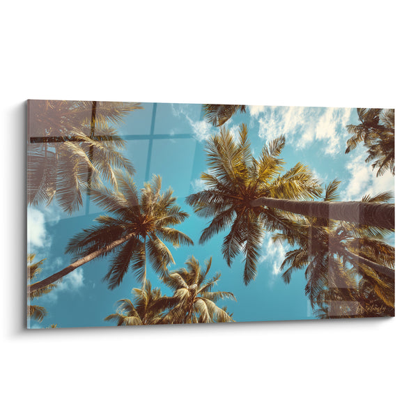 Tableau Palmiers turquoise et brun aux troncs inclinés - Nuages blancs cotonneux - Edition Palmier