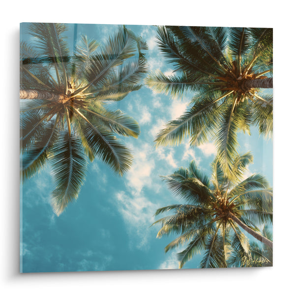 Tableau Palmiers vus du sol ciel bleu nuageux - Sieste sous les tropiques - Edition Palmier
