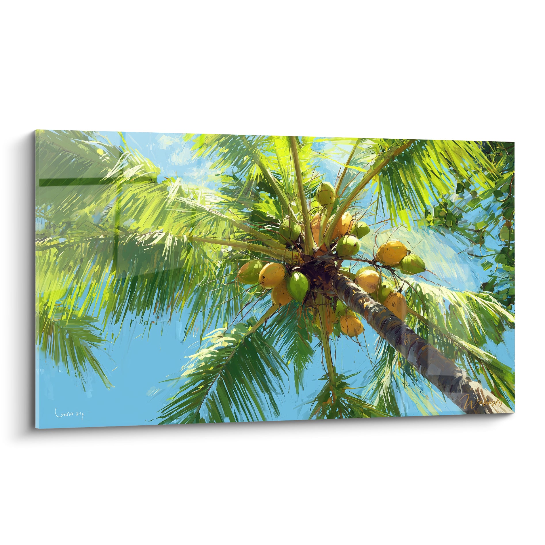 Cocotier vu du sol avec noix dorées et vertes, palmes vert émeraude sur ciel bleu azur éclatant