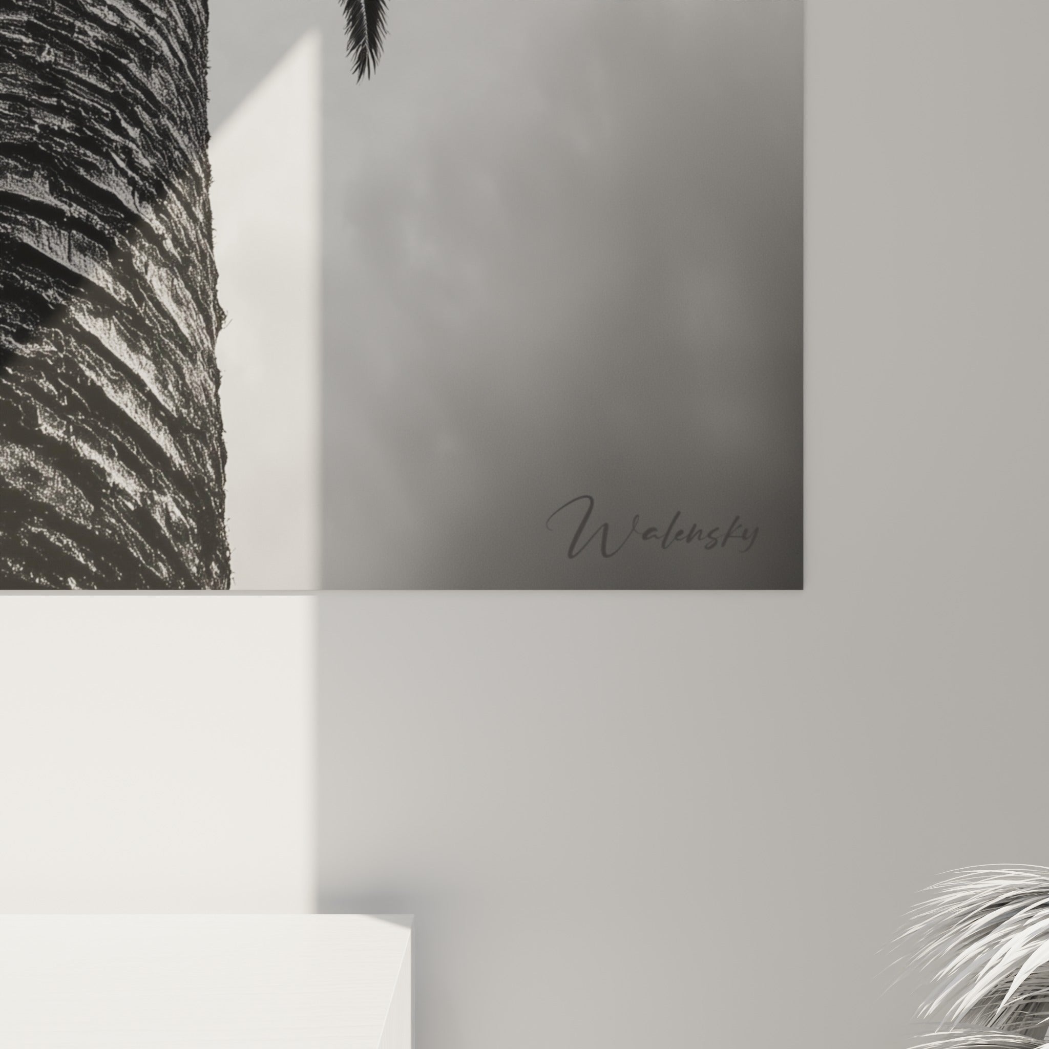 Grain photographique du palmier révélant les écailles noires du tronc et les nuances de gris du ciel nuageux