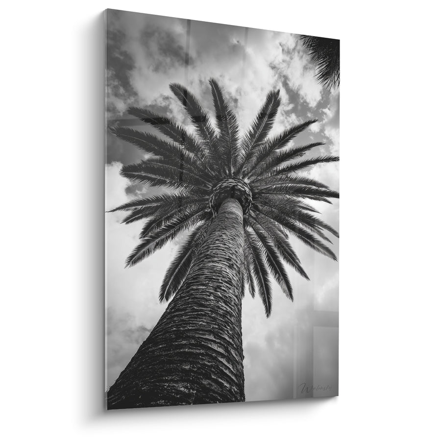 Tableau Palmier noir et blanc au tronc écorcé - Ciel nuageux monochrome - Edition Palmier