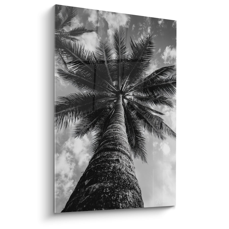 Tableau Palmier noir et blanc vers ciel nuageux - Photographie monochrome verticale - Edition Palmier