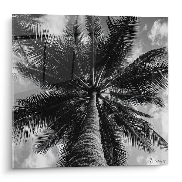 Tableau Palmier noir et blanc vers ciel nuageux - Photographie monochrome sous les palmes - Edition Palmier