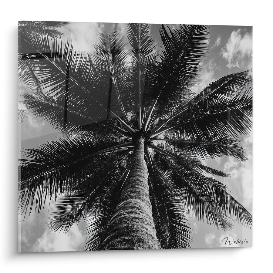 Tableau Palmier noir et blanc vers ciel nuageux - Photographie monochrome sous les palmes - Edition Palmier
