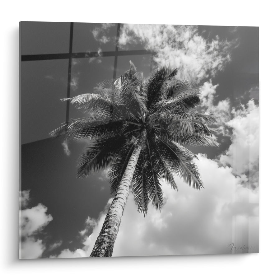 Tableau Palmier incliné noir et blanc contre façade vitrée - Regard vers les nuages - Edition Palmier