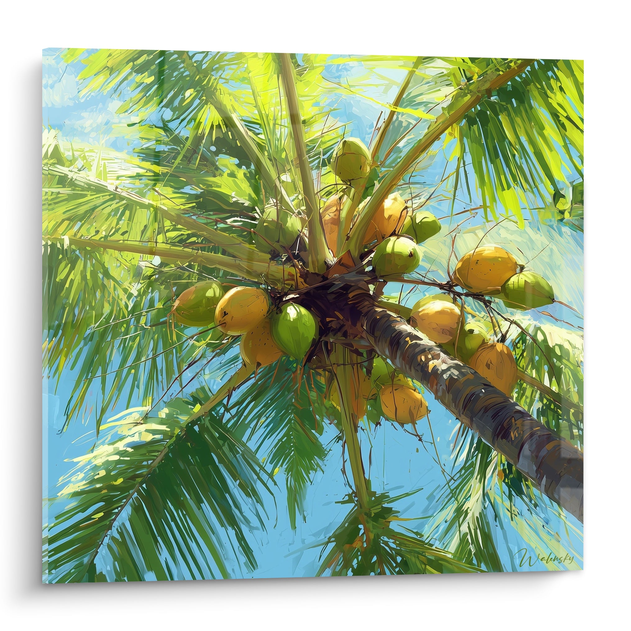 Palmier vu du sol avec noix de coco vert et jaune ocre sur fond de ciel bleu éclatant