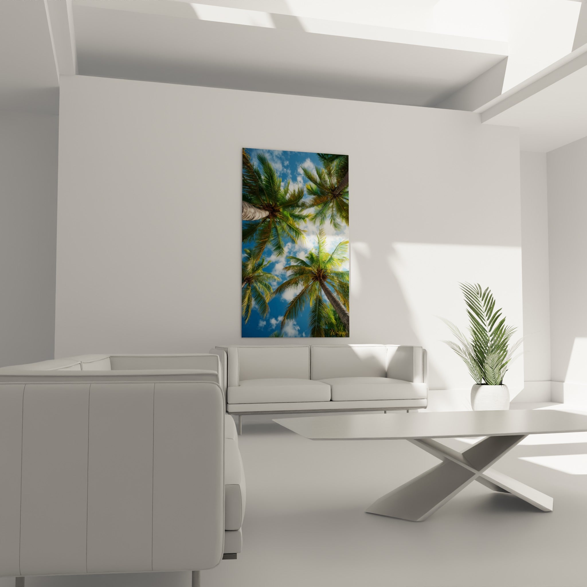 Troncs gris beige et palmes vertes rayonnant vers le ciel nuageux, au-dessus d'un canapé dans un salon lumineux