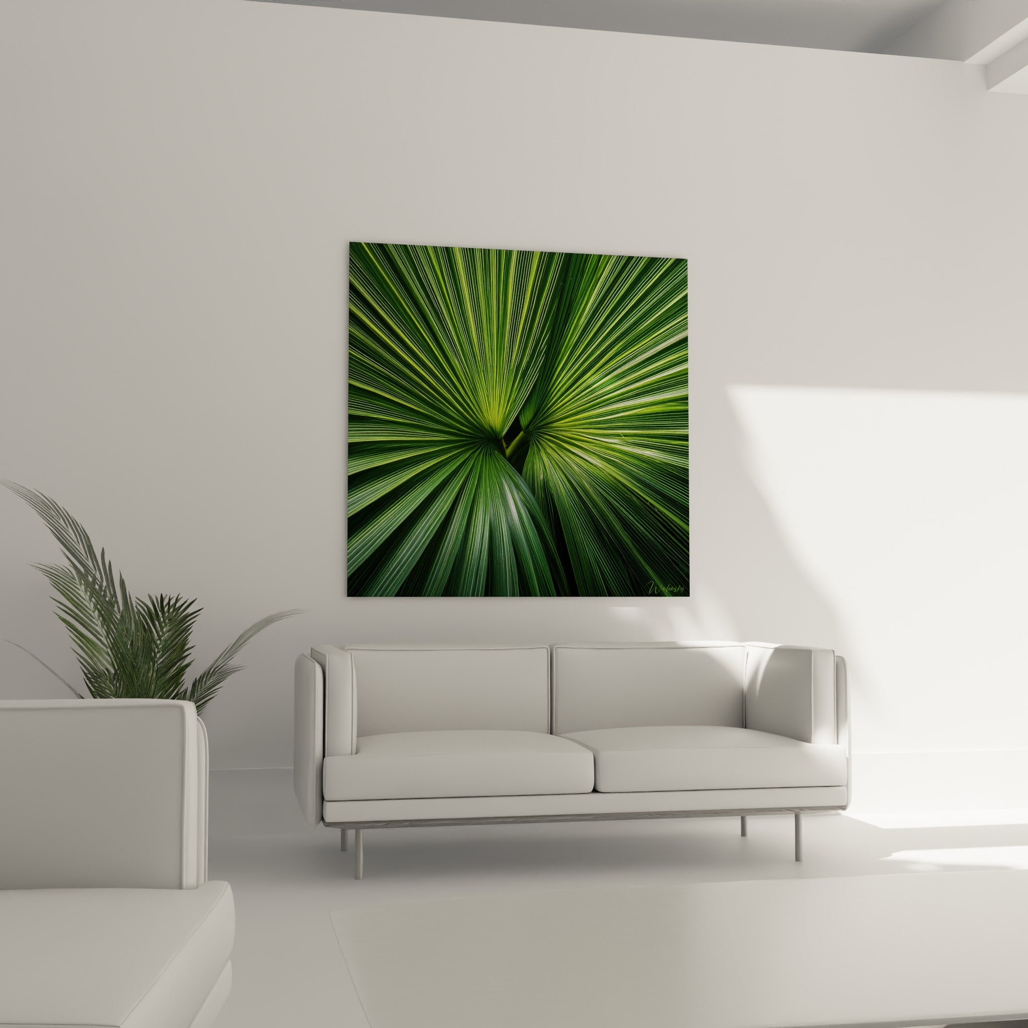 Éventail végétal vert anthracite et doré du palmier, au-dessus d'un canapé dans un salon lumineux