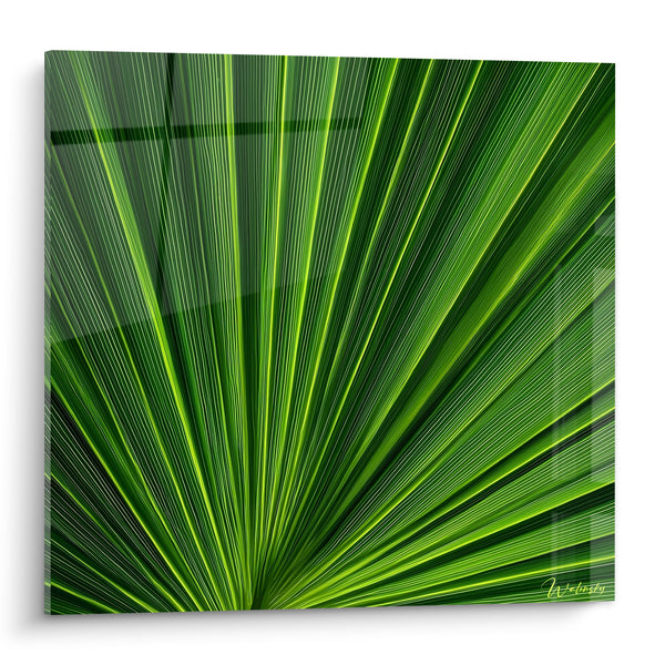 Tableau Feuille de palmier vert émeraude et jaune - Éventail tropical - Edition Palmier