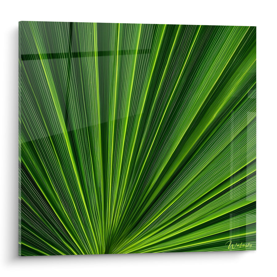 Tableau Feuille de palmier vert émeraude et jaune - Éventail tropical - Edition Palmier
