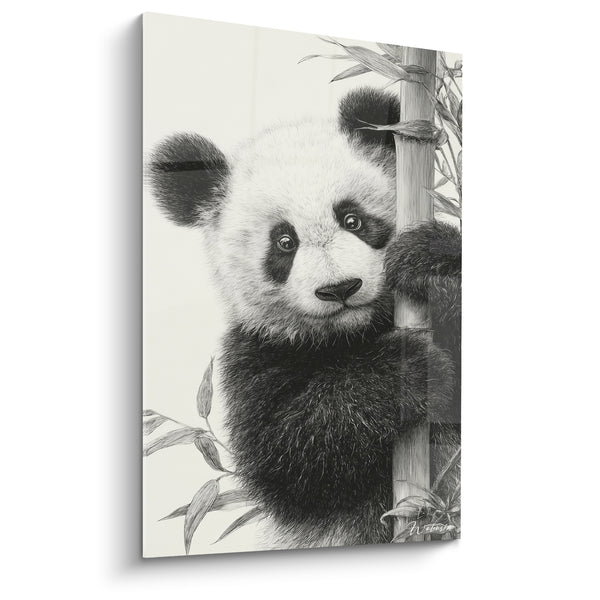 Tableau Bébé panda noir et blanc agrippé au bambou - Croquis au fusain - Edition Panda