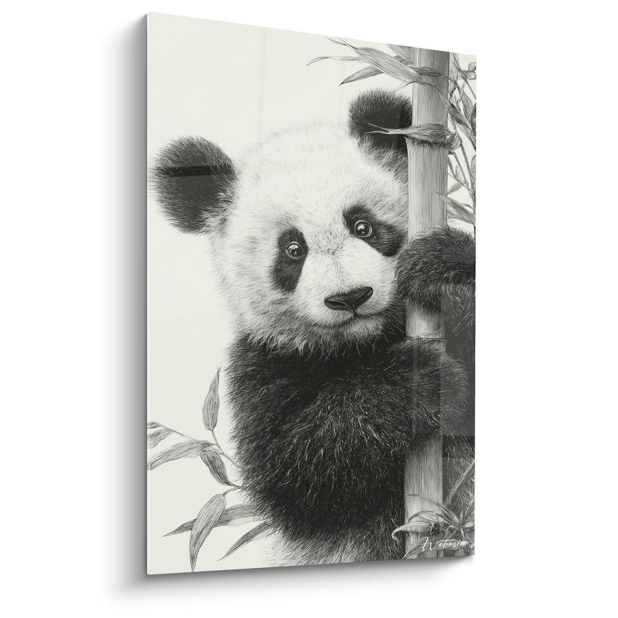 Tableau Bébé panda noir et blanc agrippé au bambou - Croquis au fusain - Edition Panda