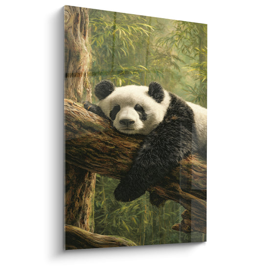 Tableau Panda somnolent sur une branche brune - Sieste dans les bambous - Edition Panda