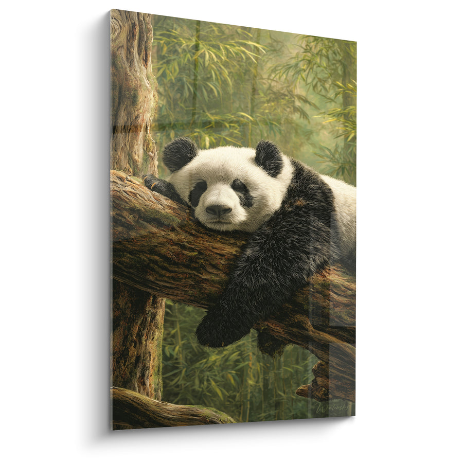 Tableau Panda somnolent sur une branche brune - Sieste dans les bambous - Edition Panda