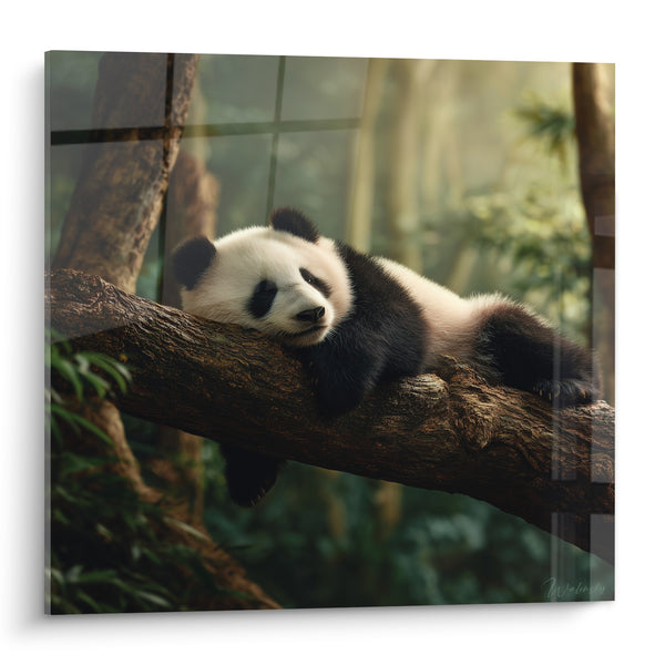 Tableau Panda noir et blanc sur une branche - Sieste en forêt - Edition Panda