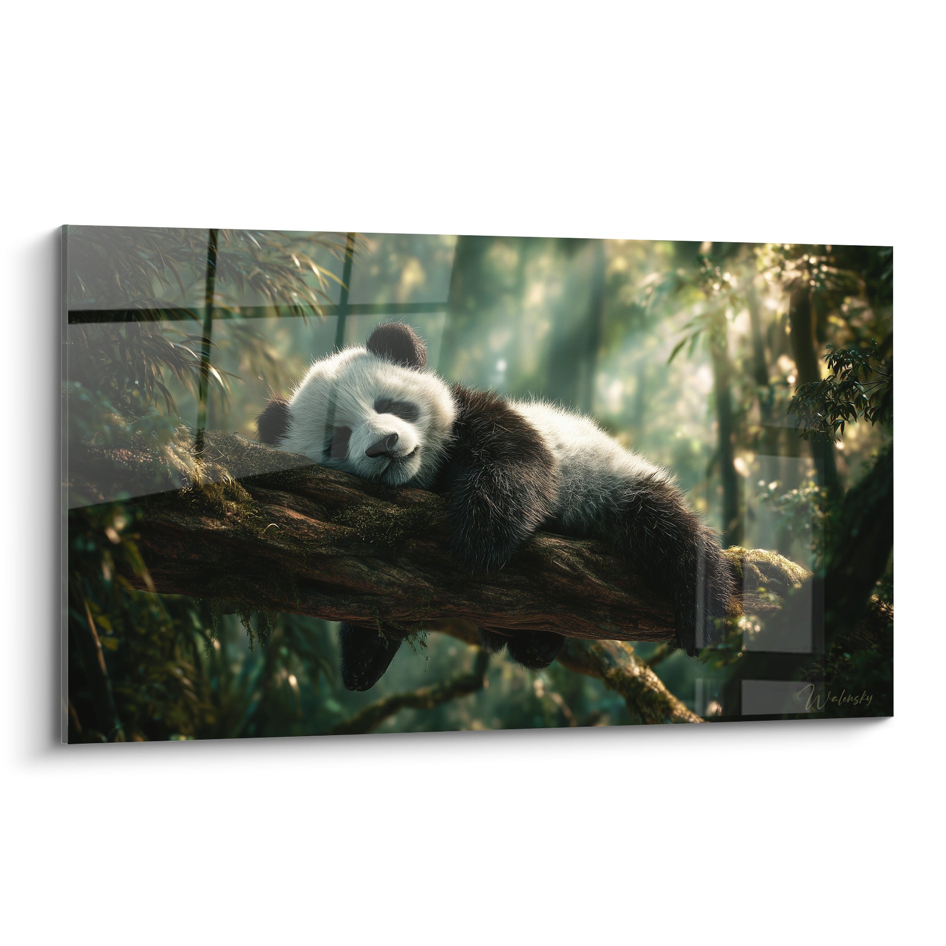 Panda endormi au pelage noir et blanc, allongé sur une branche moussue verte