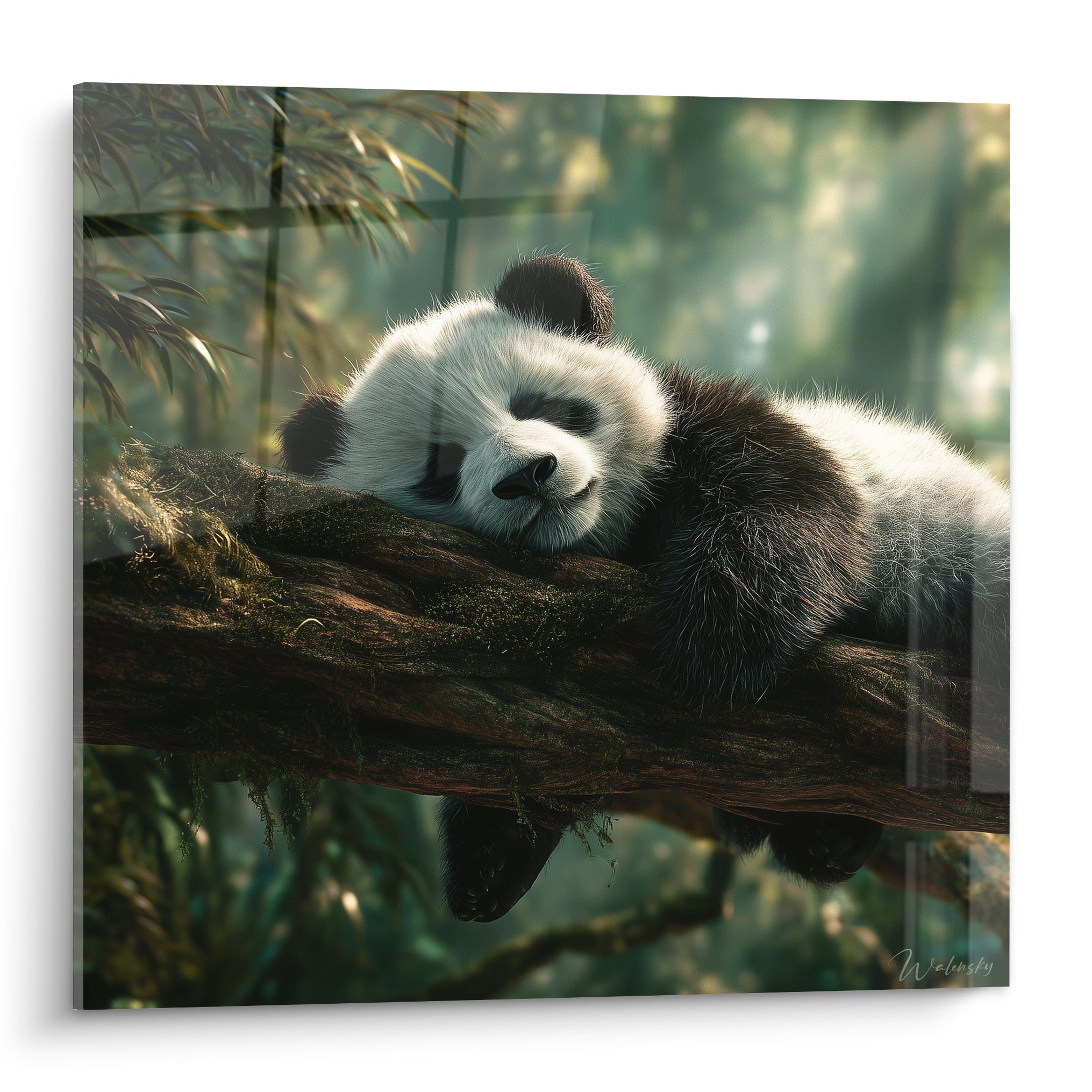 Panda blanc et noir endormi sur une branche moussue, lumière verte filtrée en arrière-plan