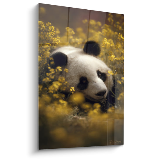 Tableau Panda blanc et noir parmi colza doré - Champ de colza - Edition Panda