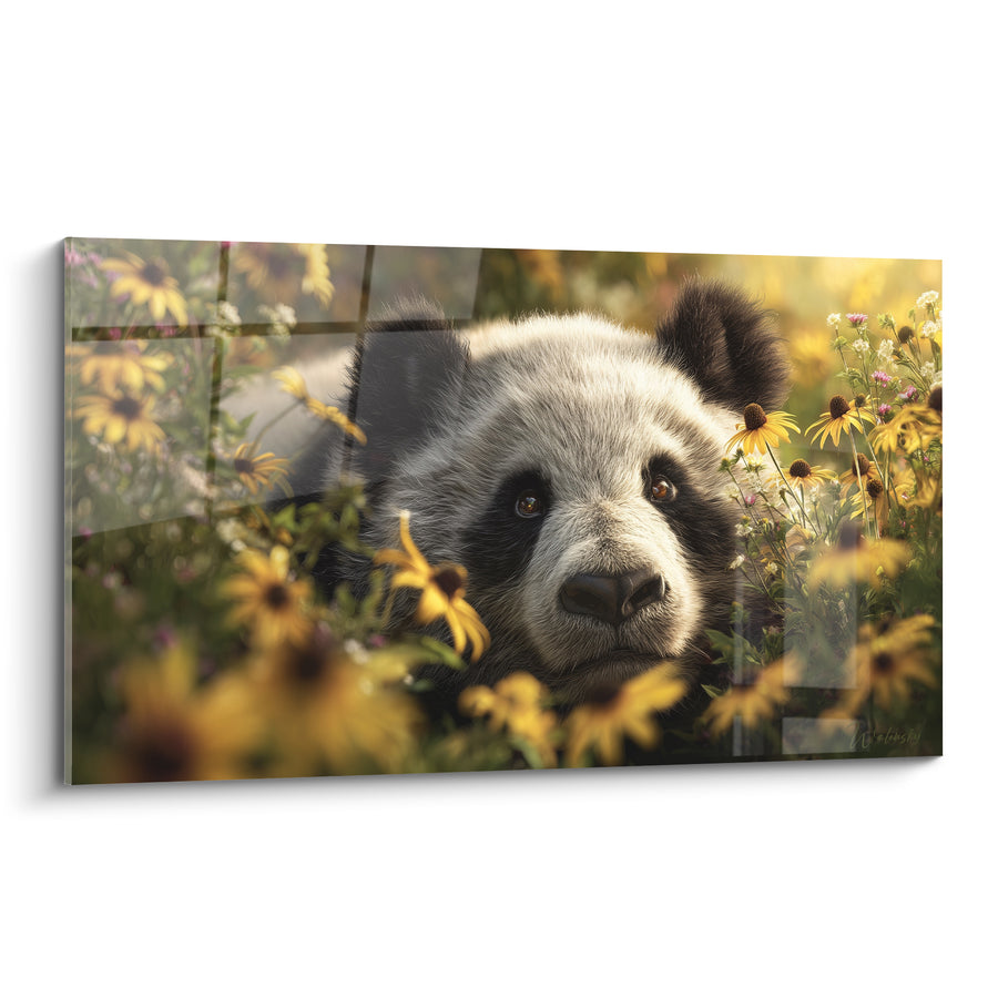 Tableau Visage noir et blanc parmi marguerites dorées - Regard attendri - Edition Panda