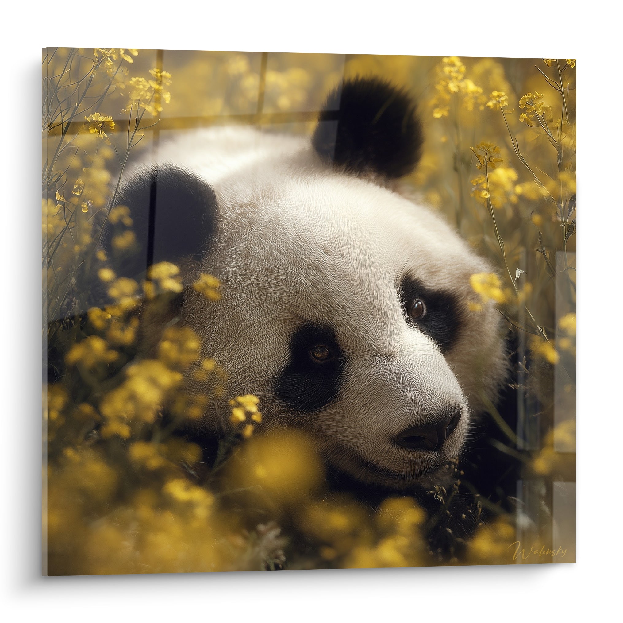 Panda noir et blanc allongé, museau posé parmi des fleurs jaunes vif et tiges vertes