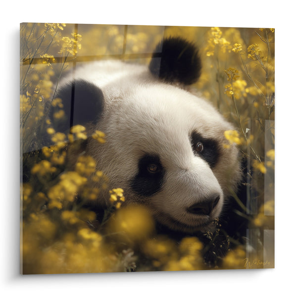 Tableau Panda noir et blanc parmi fleurs jaunes - Repos fleuri - Edition Panda