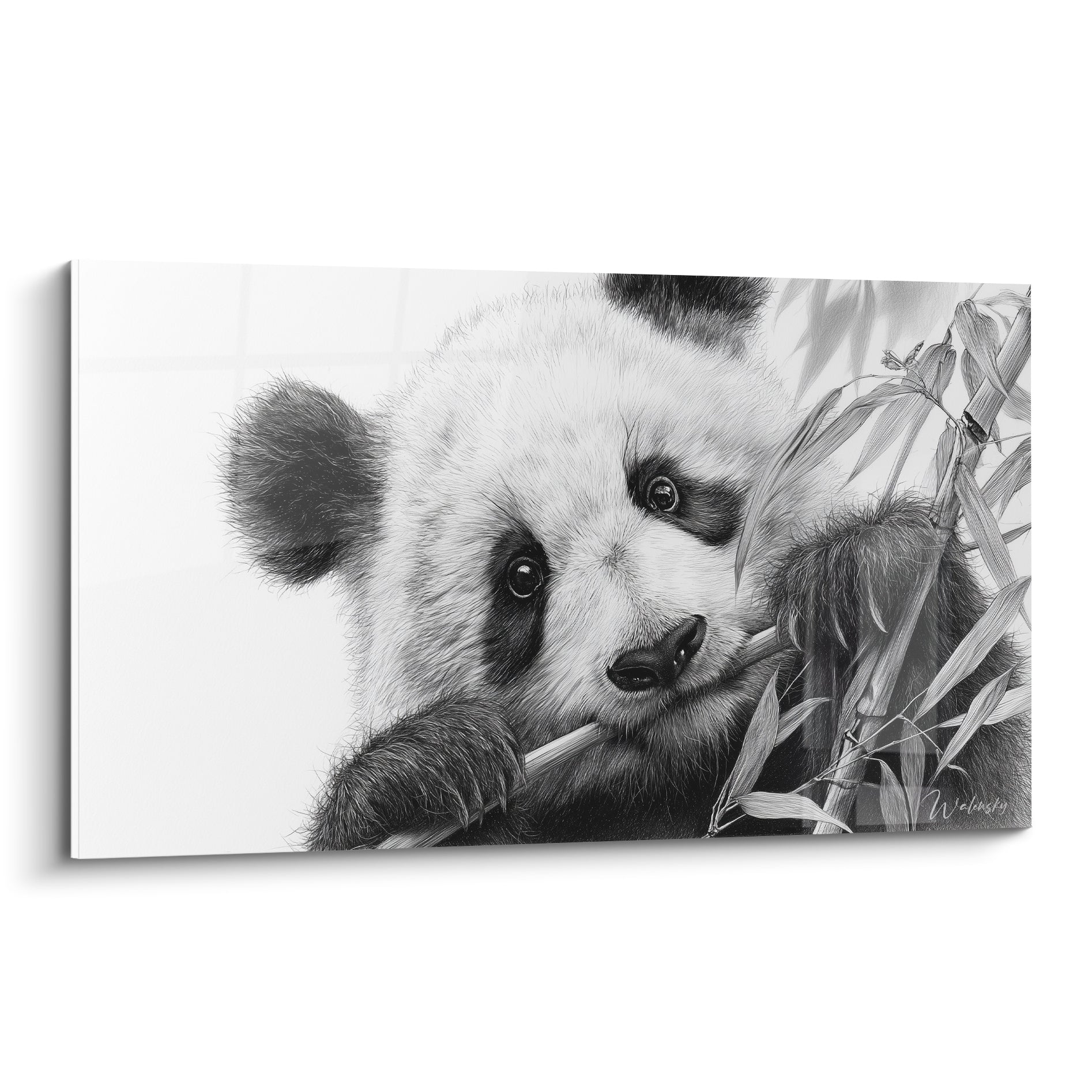 Panda noir et blanc mâchant du bambou, regard attendrissant et pelage finement détaillé