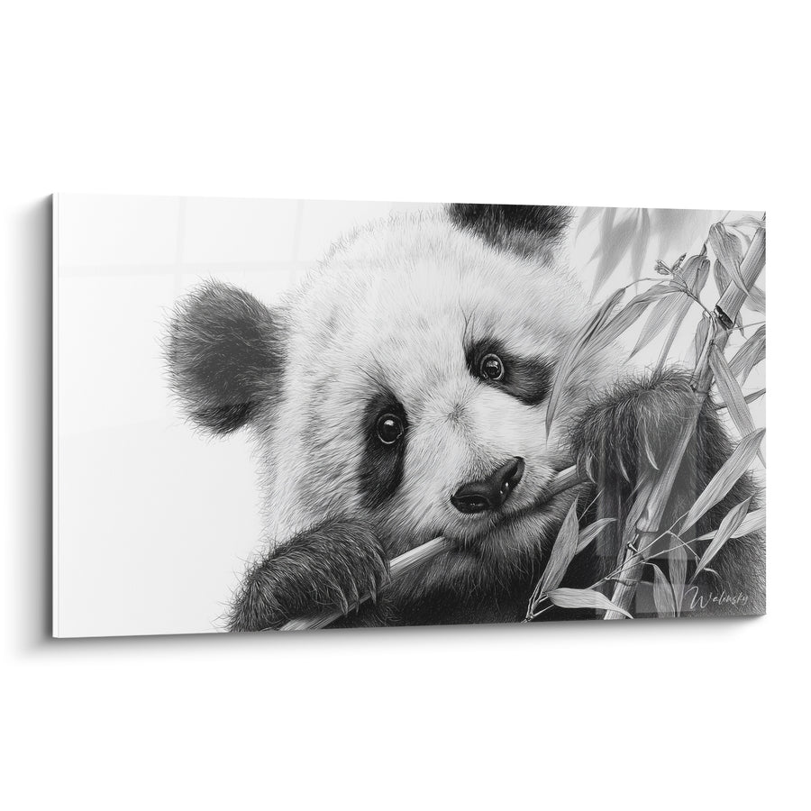 Tableau Panda noir et blanc croquant du bambou - Gourmandise attendrissante - Edition Panda