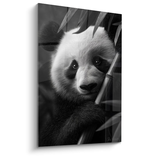 Tableau Panda noir et blanc parmi les bambous - Regard entre les tiges - Edition Panda