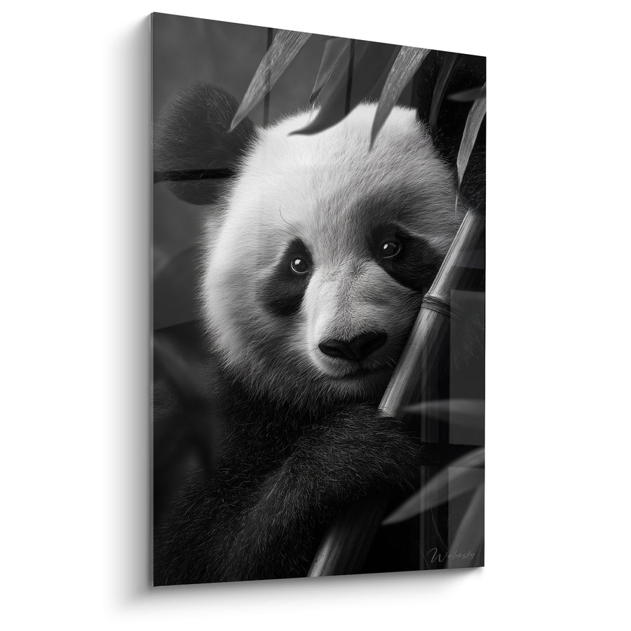 Tableau Panda noir et blanc parmi les bambous - Regard entre les tiges - Edition Panda