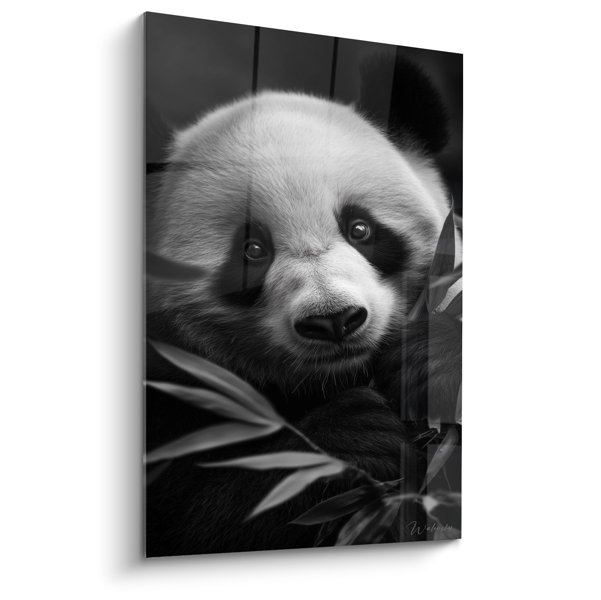 Panda blanc et noir au regard doux, posture alanguie parmi les feuilles de bambou