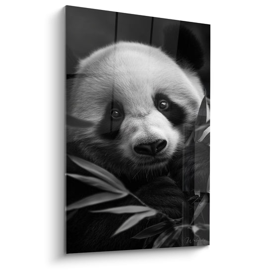 Tableau Panda noir et blanc parmi le bambou - Tendresse animale - Edition Panda