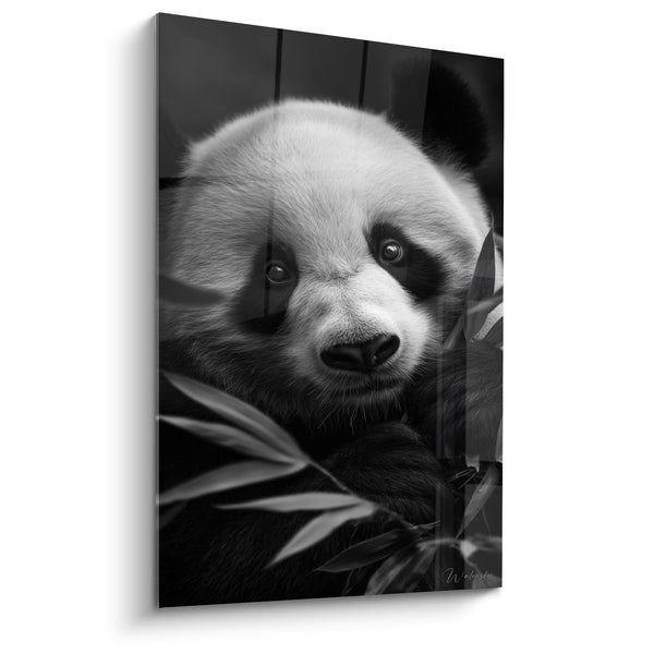 Tableau Panda noir et blanc parmi le bambou - Tendresse animale - Edition Panda