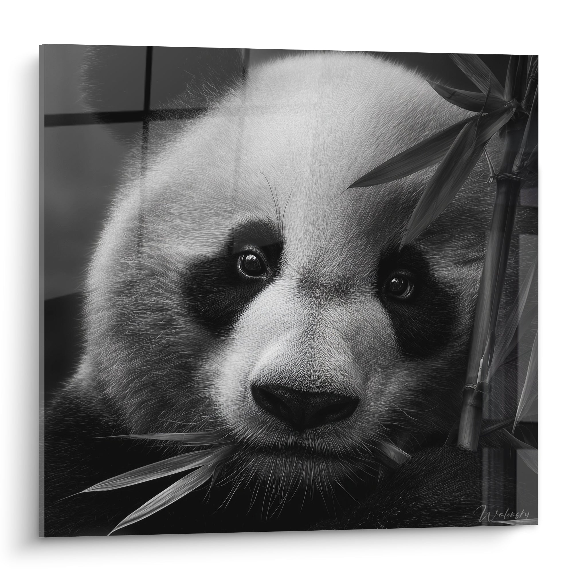 Panda au regard perçant, pelage blanc et taches noires, feuilles de bambou en arrière-plan