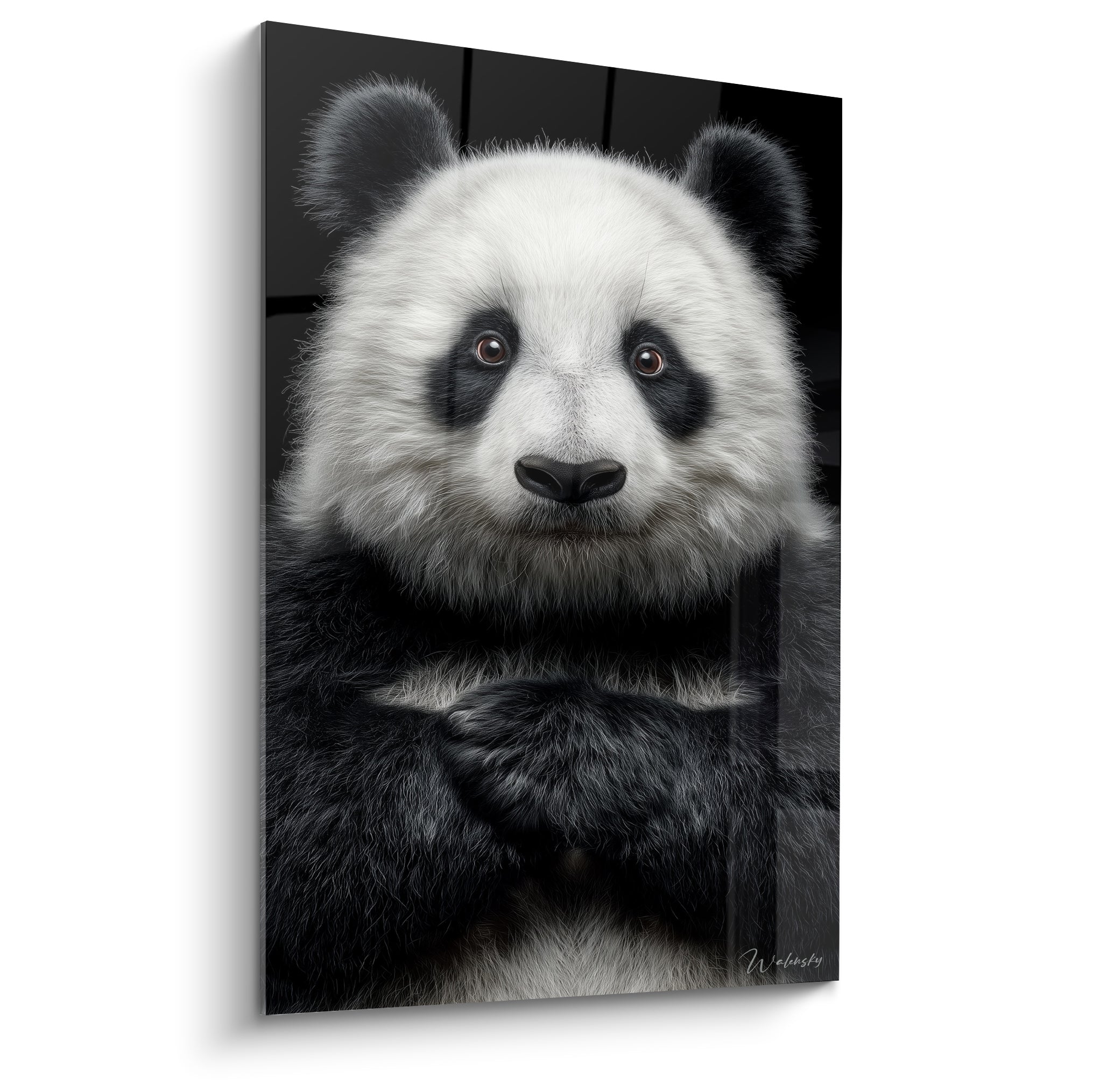 Panda blanc et noir aux pattes croisées, regard brun intense sur fond noir profond
